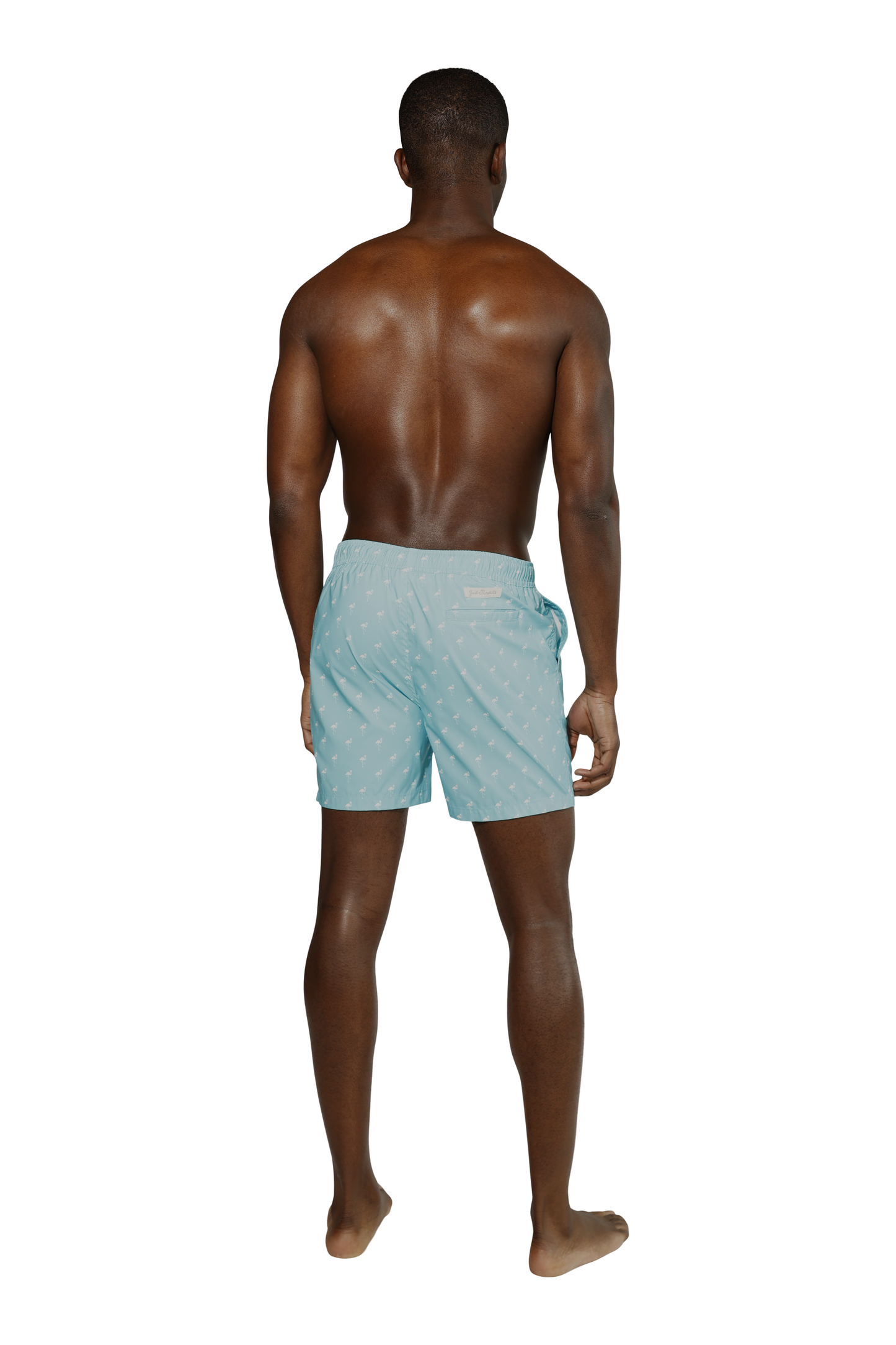 Recycled Poly Flamingos Swim Short