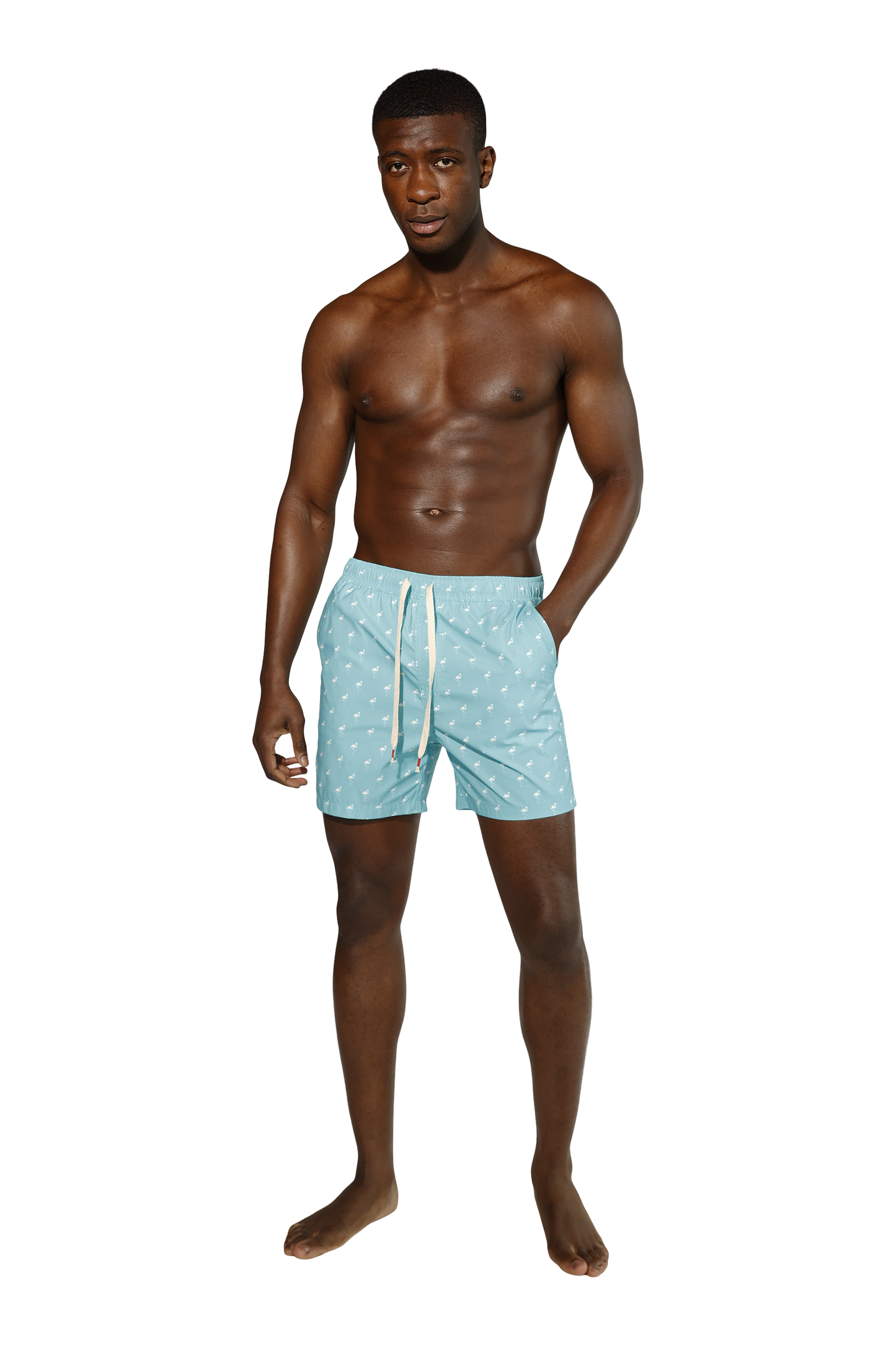Recycled Poly Flamingos Swim Short