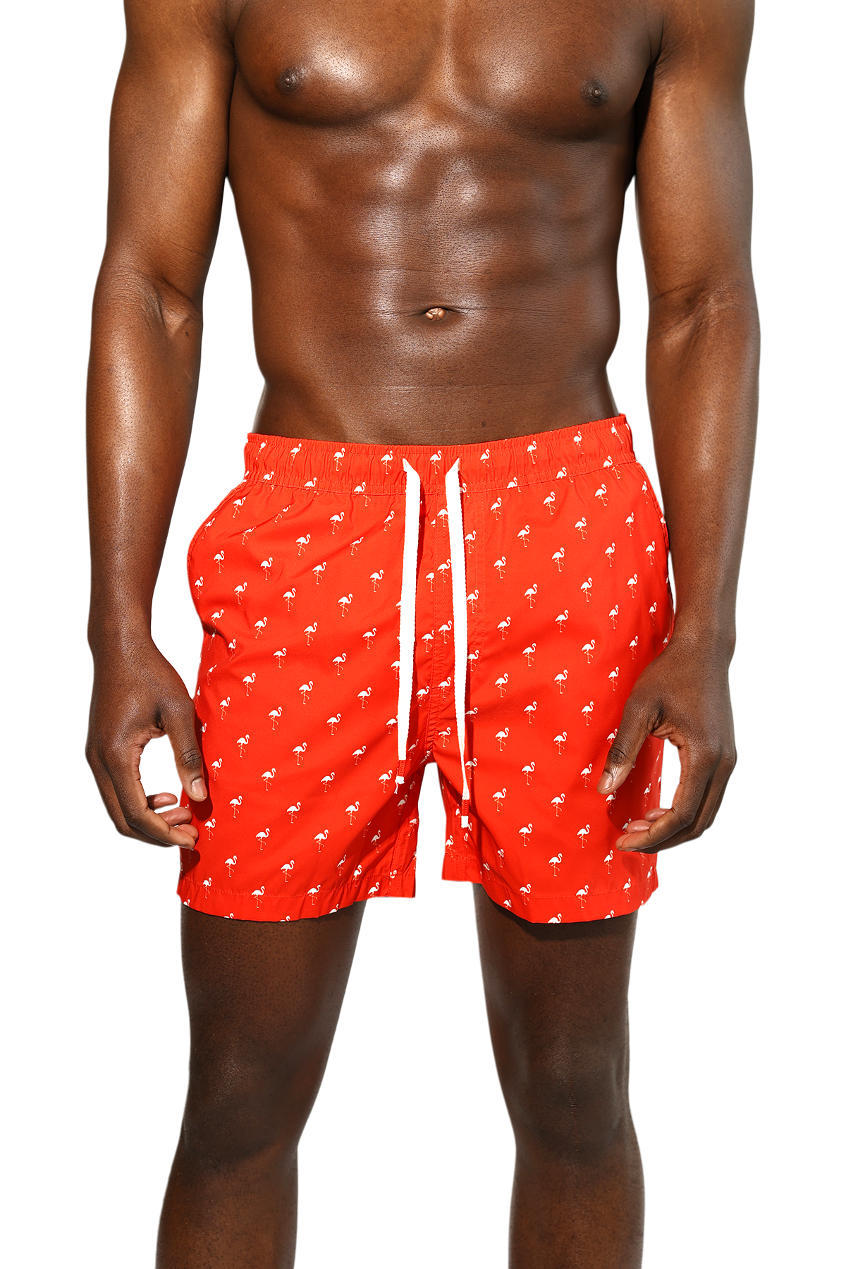 Recycled Polyester Flamingos Swim Short