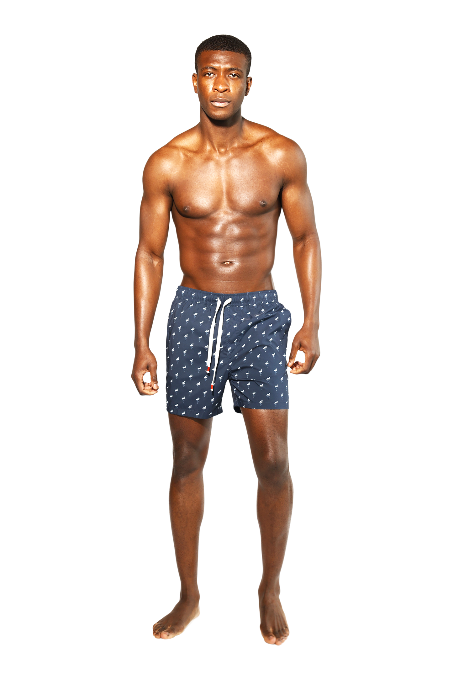 Recycled Polyester Flamingos Swim Short