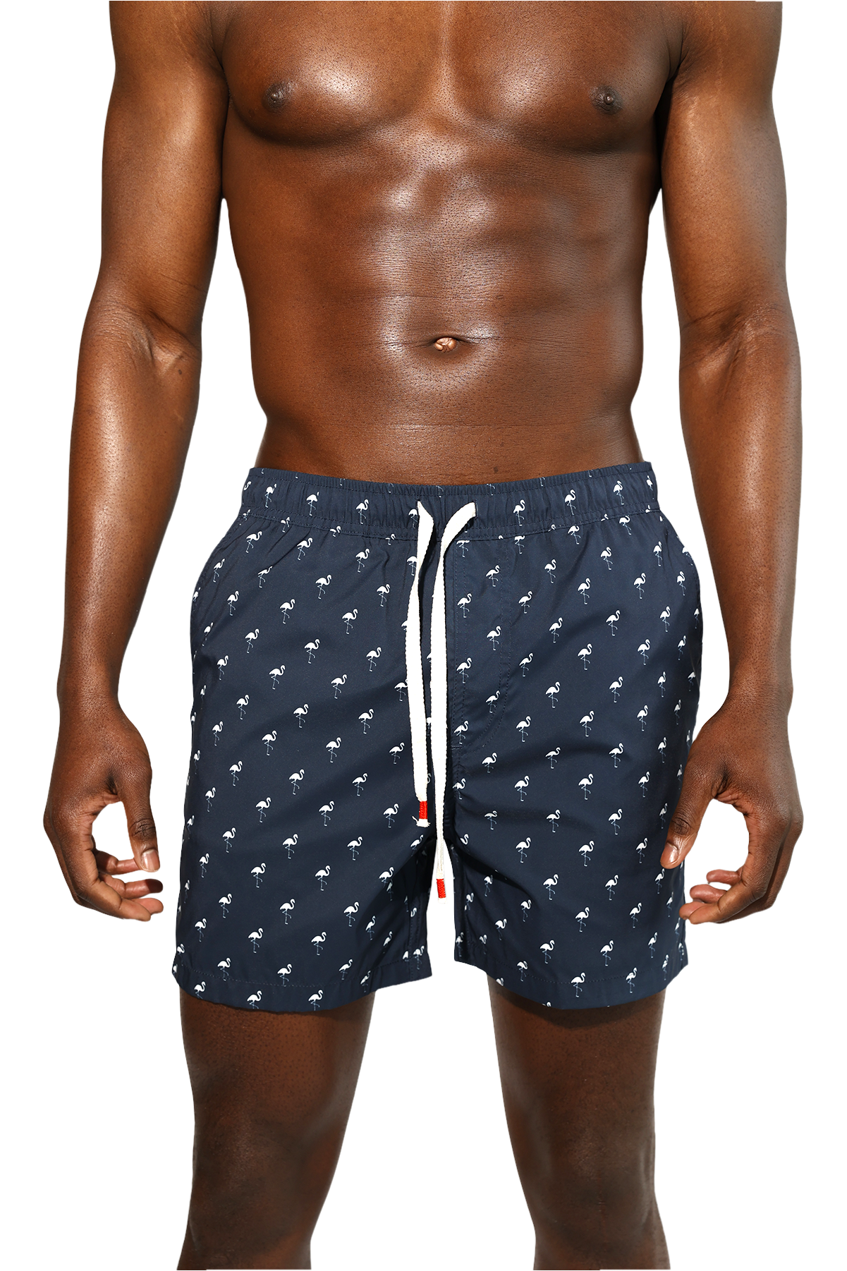 Recycled Polyester Flamingos Swim Short